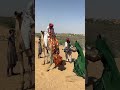 أفراح البادية رقصة الطبول الساحرة وتجمع الأهل في أجمل زفاف قروي