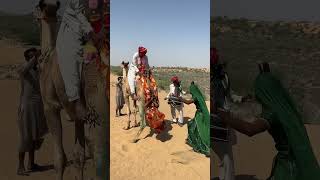 أفراح البادية رقصة الطبول الساحرة وتجمع الأهل في أجمل زفاف قروي