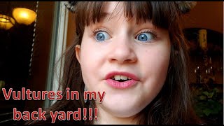 There were vultures in my back yard!!!