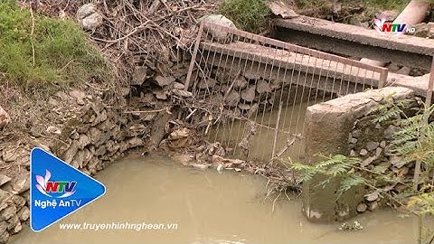 Nắng nóng kéo dài, nguy cơ hạn hán và nước biển xâm thực