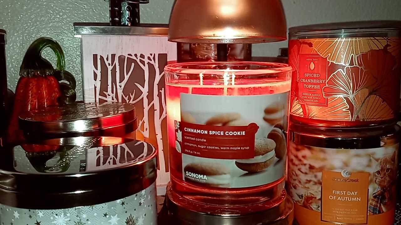 Cinnamon Spice Cookie 🍪 Sonoma Candle review Nov 2021
