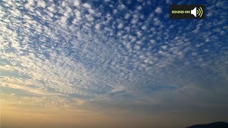 Tuesday UK forecast 05/05/20