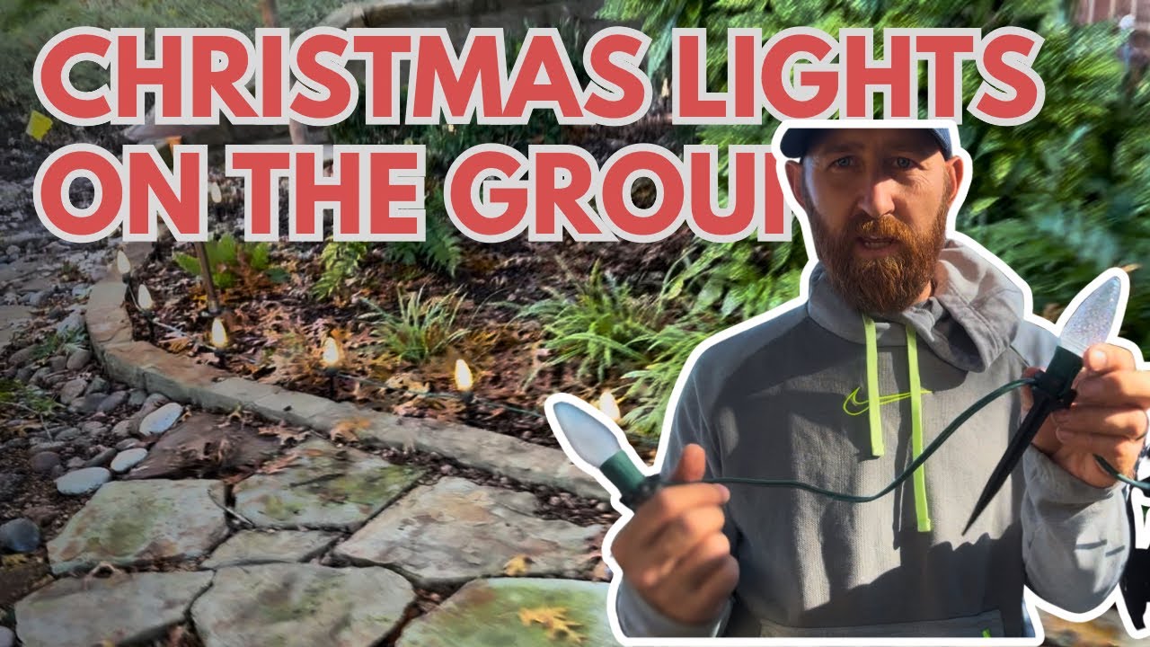 How to properly install c9 Christmas lights with stakes around plant beds