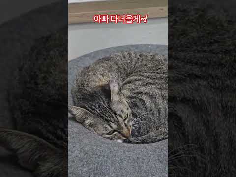 우리 딸 #햇살 #출근 #부산강서구 #구독 #좋아요 #감사합니다