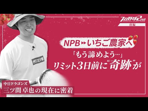 【三ツ間卓也】引退後いちご農家へ転身/無給で挑戦も直面した悲しい現実…/「いちご農家は諦めよう」タイムリミット3日前に奇跡の逆転劇|三ツ間卓也の現在(中日ドラゴンズ)