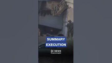 Horrific footage shows ‘Israeli’ police fatally shooting two Palestinians despite surrendering