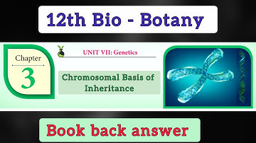 12th bio botany lesson 3 question answer Chromosomal Basis of Inheritance | book back answer
