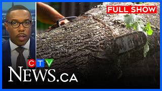 Cleanup begins after winds crush homes CTV News Ottawa at Five for August 14 2026