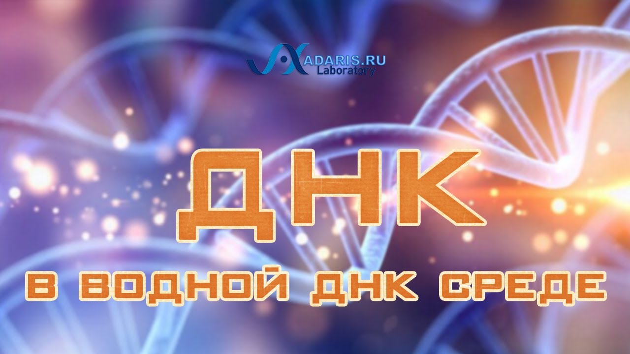 ДНК в водной среде - кристаллическая природа днк