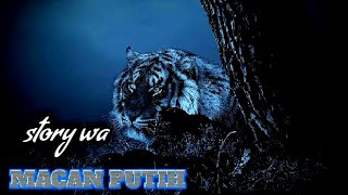 story wa macan putih