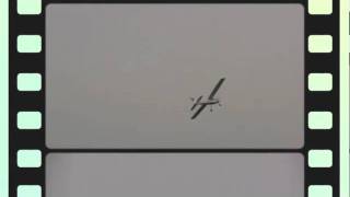 St Models Discovery Trainer Rc Aircraft Standard Model Demo