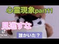 #shorts ガチの【心霊現象】観てみよpart11