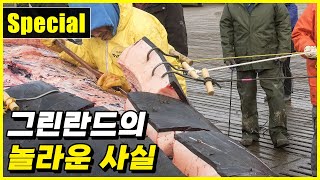 영상 1편으로 끝내는 그린란드의 놀라운 사실