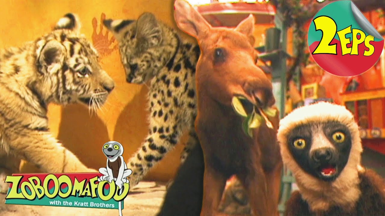 Funny Faces + Spots and Stripes | Zoboomafoo - Double Feature | Full Episodes 31 + 32