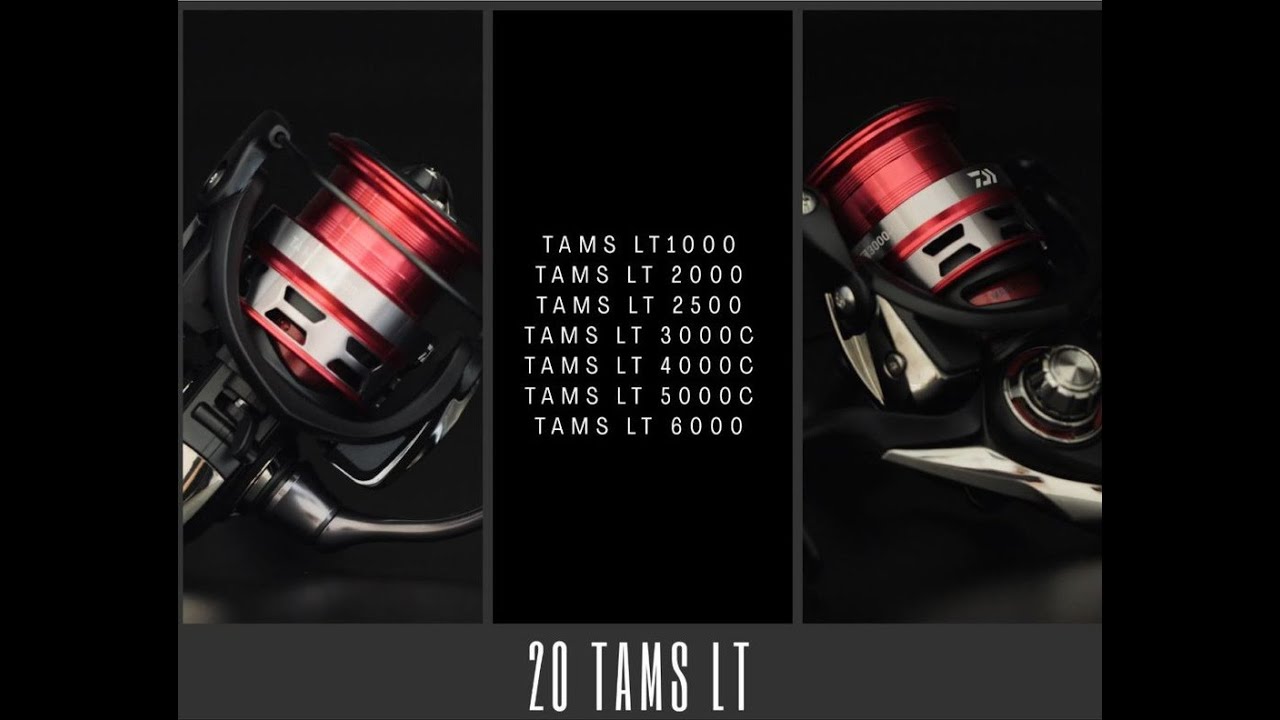 DAIWA MOST AFFORDABLE MAGSEALED REEL TAMS LT 