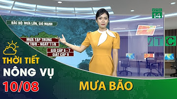 Thời tiết nông vụ 10/08/2022: Bắc Bộ có mưa bão| VTC14