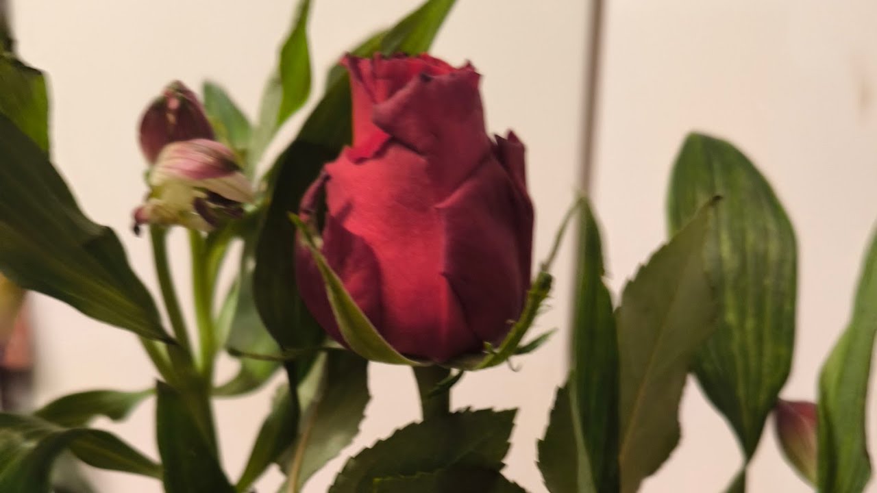 ТАРО СИТУАЦИЯ РАЗВОД КАК ВСЕ ПРОЙДЁТ?  #таро #амакра