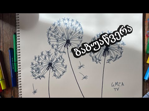 როგორ დავხატოთ ბაბუაწვერა უმარტივესად/მარტივად ბაბუაწვერა/დავხატოთ ბაბუაწვერა ფანქრით