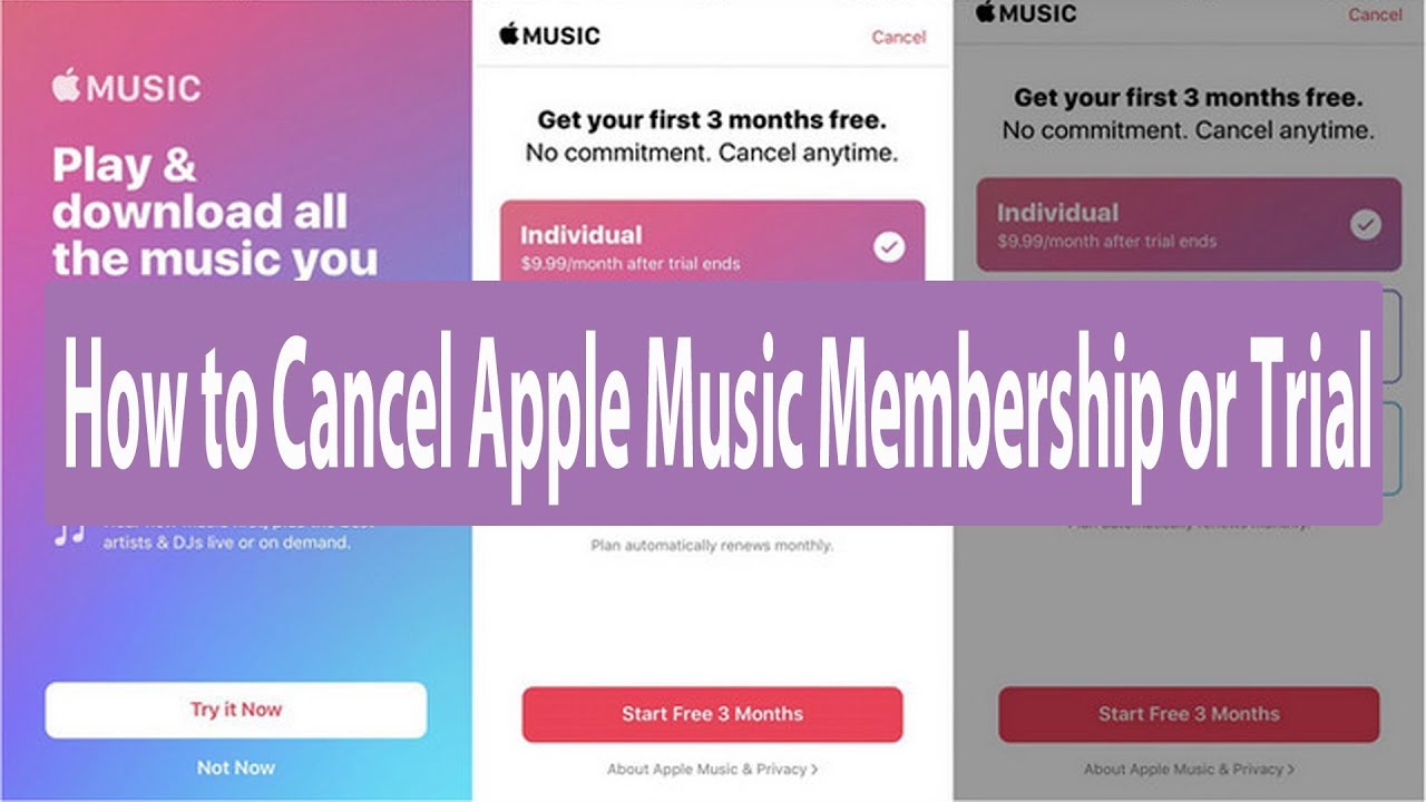 How To Cancel Apple Music Subscription Or Trial On IOS YouTube