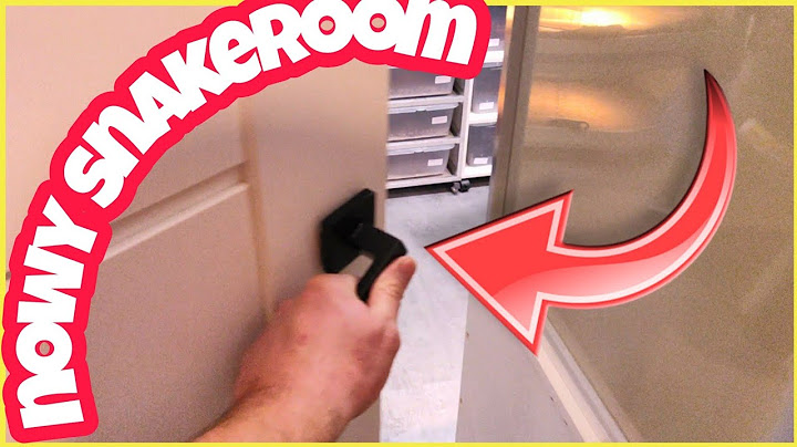 🥳😁➡️ WSZYSTKIE węże w nowym SNAKE ROOMIE‼️ 😎
