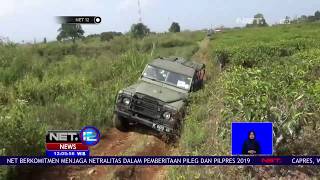 Sensasi Menelusuri Perkebunan Teh Menggunakan Mobil Off Road-NET12