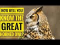 Great Horned Owl || Descriptions, Characteristics and Facts!