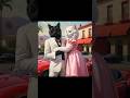 Watch as this feline’s ex comes running back, only to find that money can’t buy love!