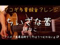 「ちいさな蕾」アコギで多重録音アレンジしてみた(アニメ「魔導具師ダリヤはうつむかない」OP)