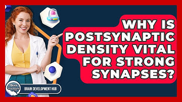 Why Is Postsynaptic Density Vital For Strong Synapses? - Brain Development Hub