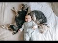 Cute babies with dogs | 4K video | Slow compilation with relaxing music | Best dog breads | 2021