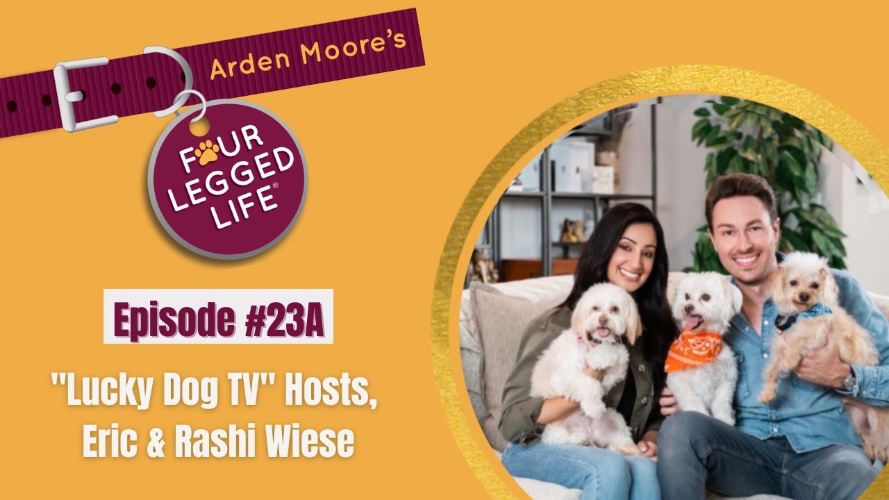 Ep23 Lucky Dogs Stars YouTube