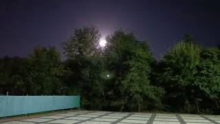 Богатырь-Семейная Прогулка.