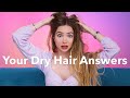 Answering Your Top 12 Questions About Dry Hair