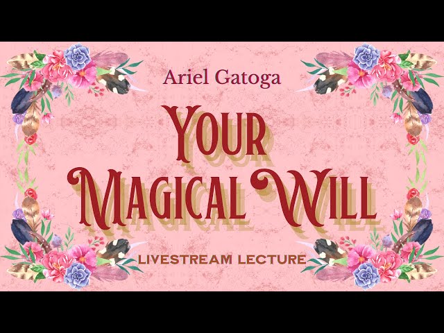 Your Magical Will | A free 18week course in basic ...