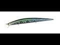 SKARAM(BARRACUDA) MONTENEGRO SHORE FISHING