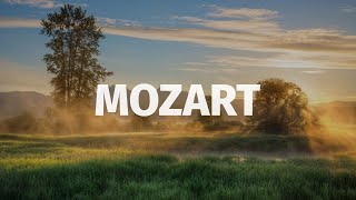 Mozart: Symphony No.40  Molto Allegro