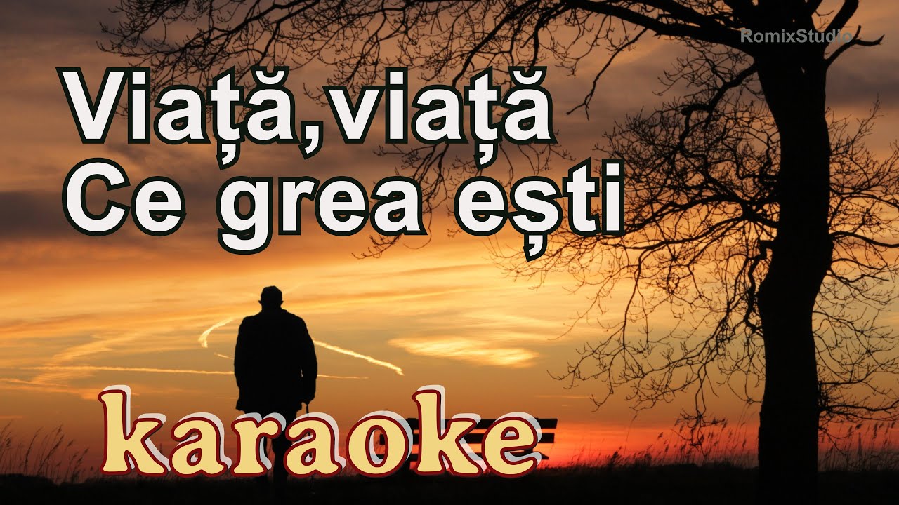 Karaoke - Viata, viata, ce grea esti - Versuri - Negativ