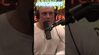 The Difference Between Pigs And Hogs | Joe Rogan Experience