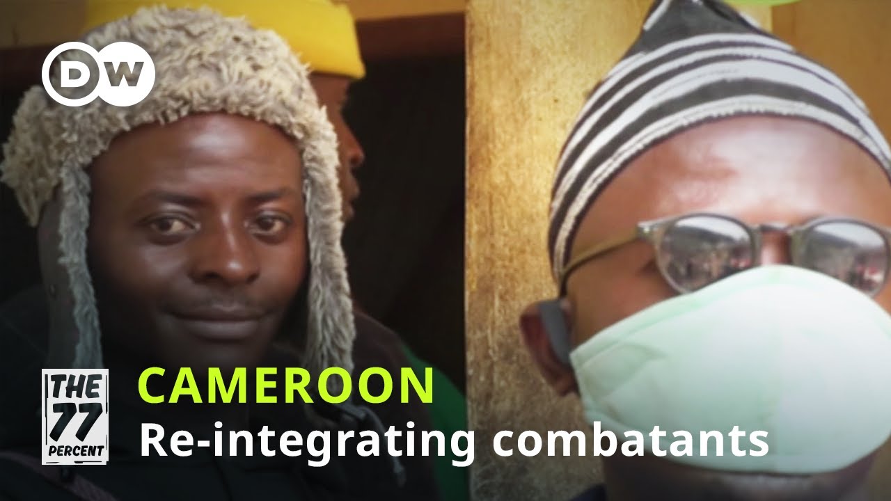 How can Cameroonian fighters be re-integrated?