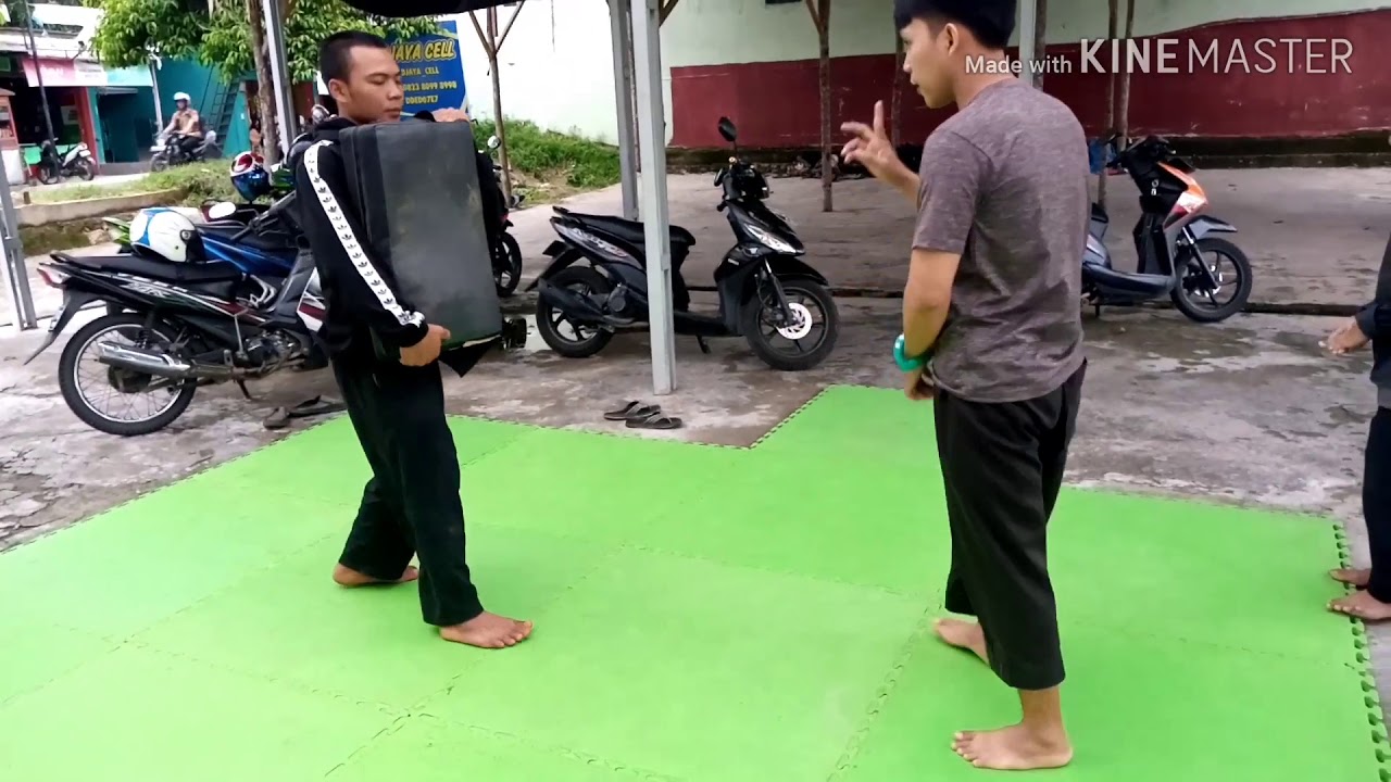 Latihan tehnik pencak silat PSHT  YouTube