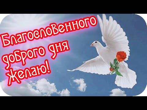 Доброе утро! 🌸Благословенного, доброго дня желаю! 🌸Душевное пожелание 🌸Good morning!🌸