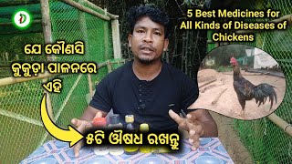 Best 5 Medicines for Desi Chickens Farm || All Disease Treatment Medicines in Desi Poultry Farm ?