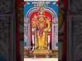 @saikrishworld6336 #bakthi #murugasaranam #hindugod #thaipoosam