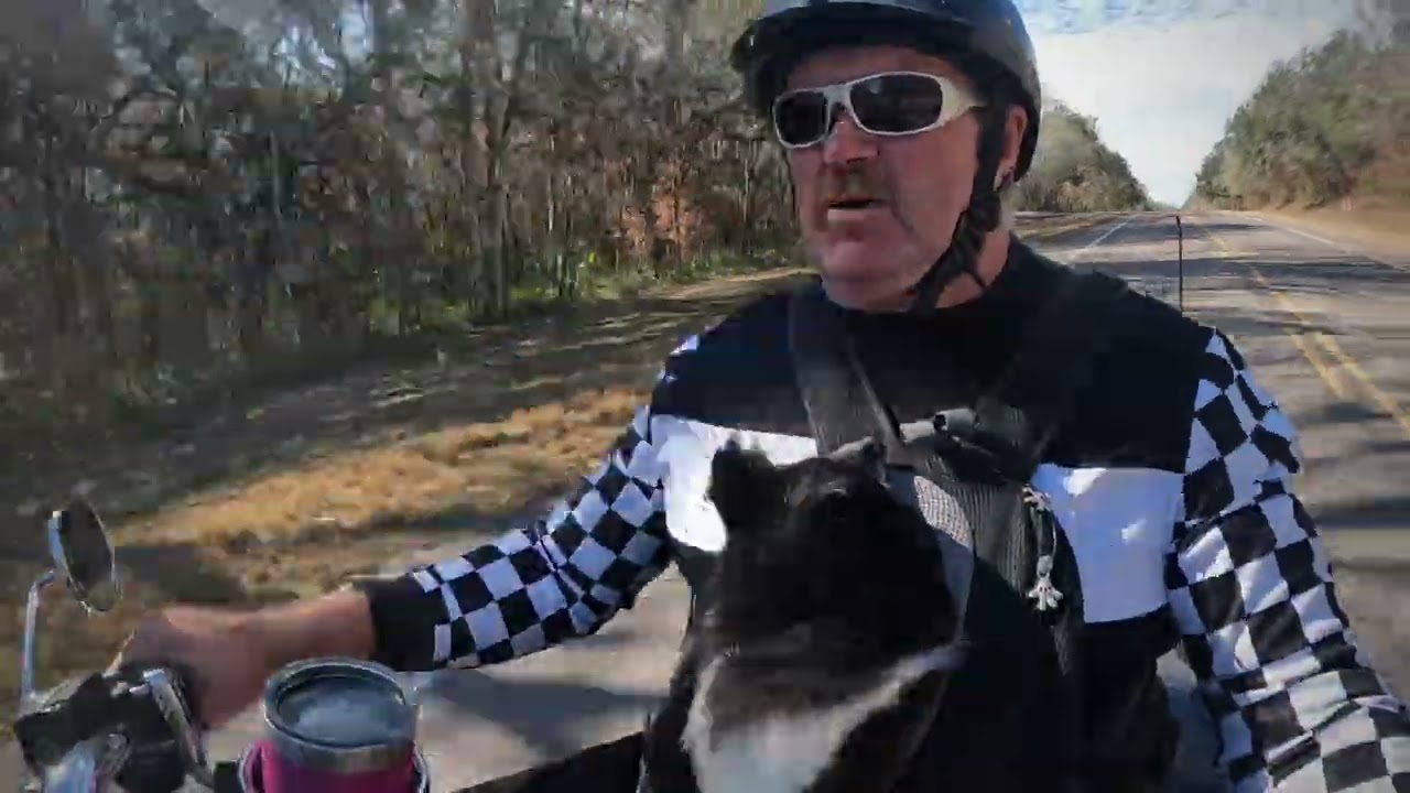 Ride to Crystal River Harley 