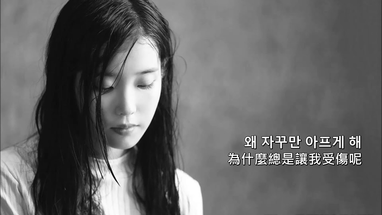【中韓字】아이유(IU) - 그러는 그대는 (那樣的你)