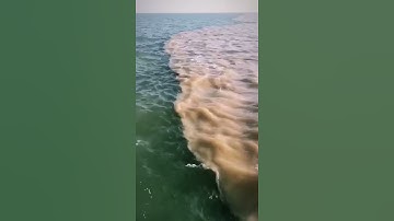 آيات قصيرة من القرآن الكريم  مرج البحرين يلتقيان