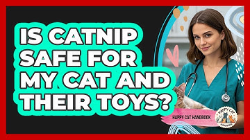 Is Catnip Safe For My Cat And Their Toys? - Happy Cat Handbook
