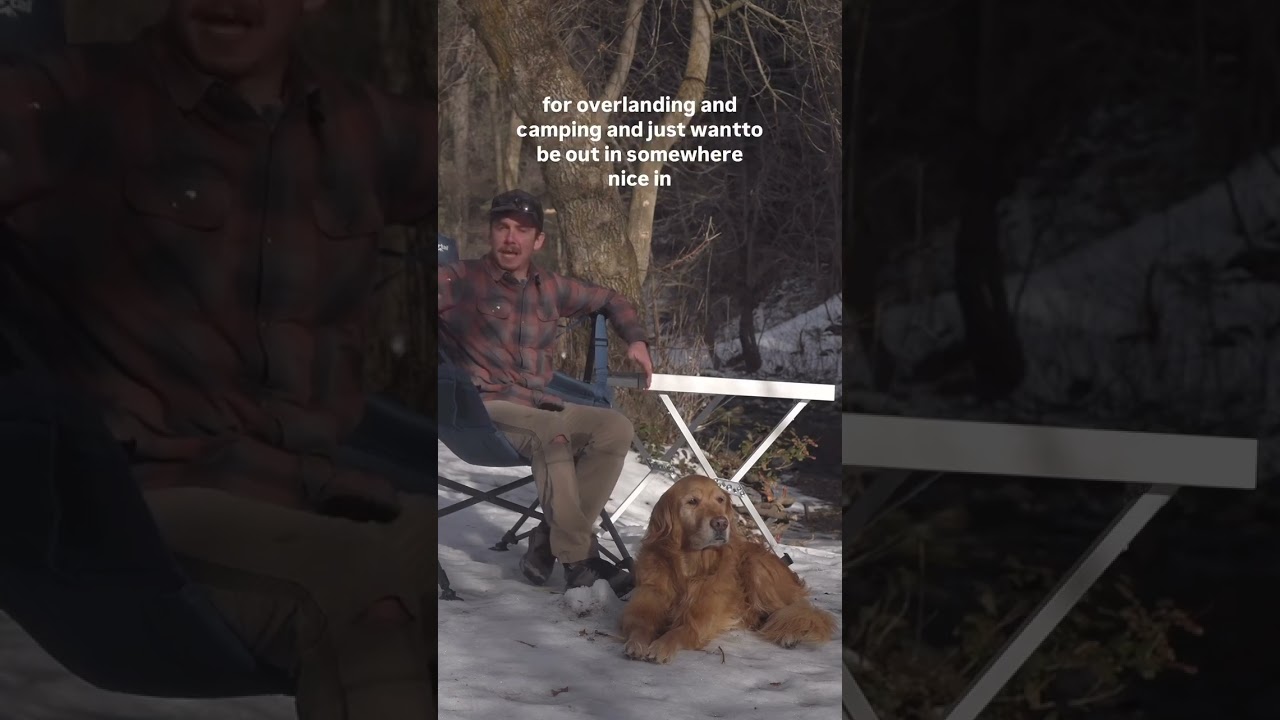 Этот золотистый ретривер испытывает наш кемпинговый стул 🐶👀 