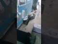 계단위에 살고있는 암컷냥 포획하여 인계하였습니다. 어린암컷냥 수술하고 5일정도 입원하면서 종합백신, 레블레이션,귀청소하고 방사할 예정입니다,