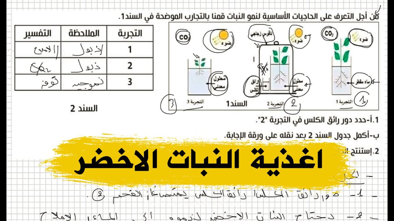 تمرين جيد على النبات الاخضر للاختبار علوم طبيعية اولى متوسط